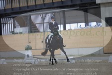 ref. photo 3381761