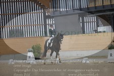 ref. photo 3381857