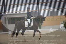 ref. photo 3381862