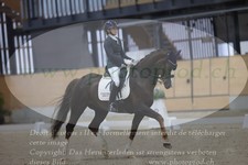 ref. photo 3381875
