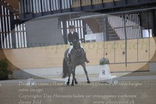 ref. photo 3381914