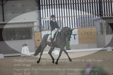ref. photo 3381920