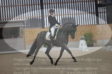 ref. photo 3381921
