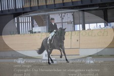 ref. photo 3381927