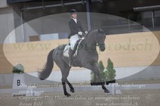 ref. photo 3381930
