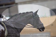 ref. photo 3381938
