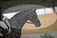 ref. photo 3381939