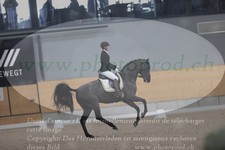 ref. photo 3381954