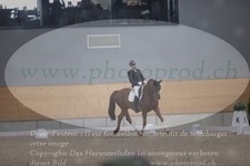 ref. photo 3382021