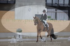 ref. photo 3382043