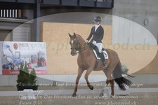 ref. photo 3382044