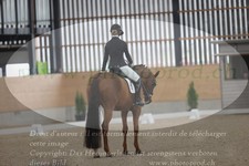 ref. photo 3382052