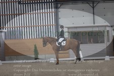 ref. photo 3382054