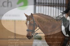 ref. photo 3382077