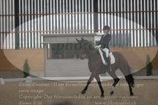 ref. photo 3382160
