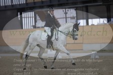 ref. photo 3382215