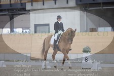 ref. photo 3382238
