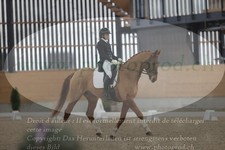 ref. photo 3382242