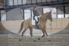 ref. photo 3382243