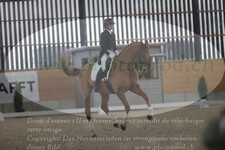 ref. photo 3382252