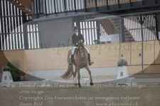 ref. photo 3382323