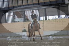 ref. photo 3382324