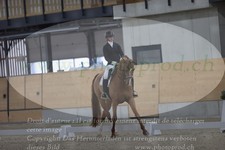 ref. photo 3382326