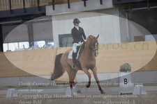 ref. photo 3382335