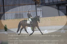 ref. photo 3382376