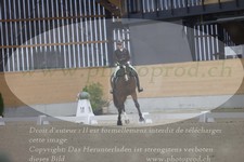 ref. photo 3382381
