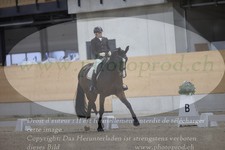 ref. photo 3382385