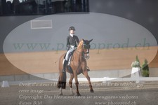 ref. photo 3382396