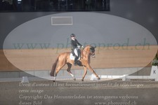 ref. photo 3382400