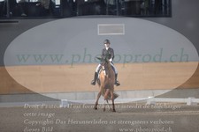ref. photo 3382402