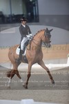 ref. photo 3382405