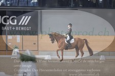 ref. photo 3382408