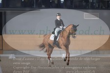 ref. photo 3382414