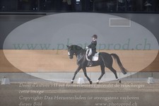ref. photo 3382458