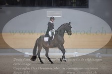 ref. photo 3382482