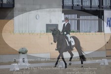 ref. photo 3382518