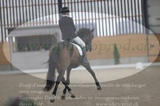 ref. photo 3382529