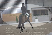 ref. photo 3382530