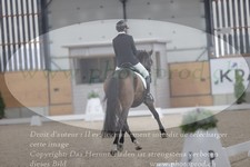 ref. photo 3382531
