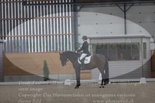 ref. photo 3382532