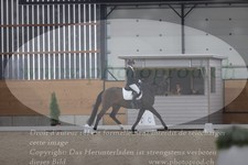 ref. photo 3382539