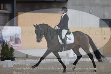 ref. photo 3382546
