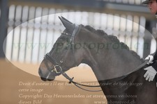 ref. photo 3382563