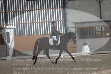 ref. photo 3382598