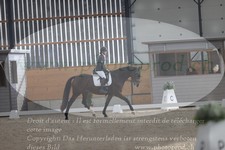 ref. photo 3382608