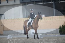 ref. photo 3382705